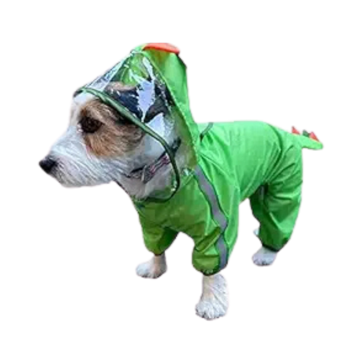 FOFOS PET RAINCOAT-DINOSAUR (M) - Animeal