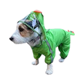 FOFOS PET RAINCOAT-DINOSAUR (XL) - Animeal
