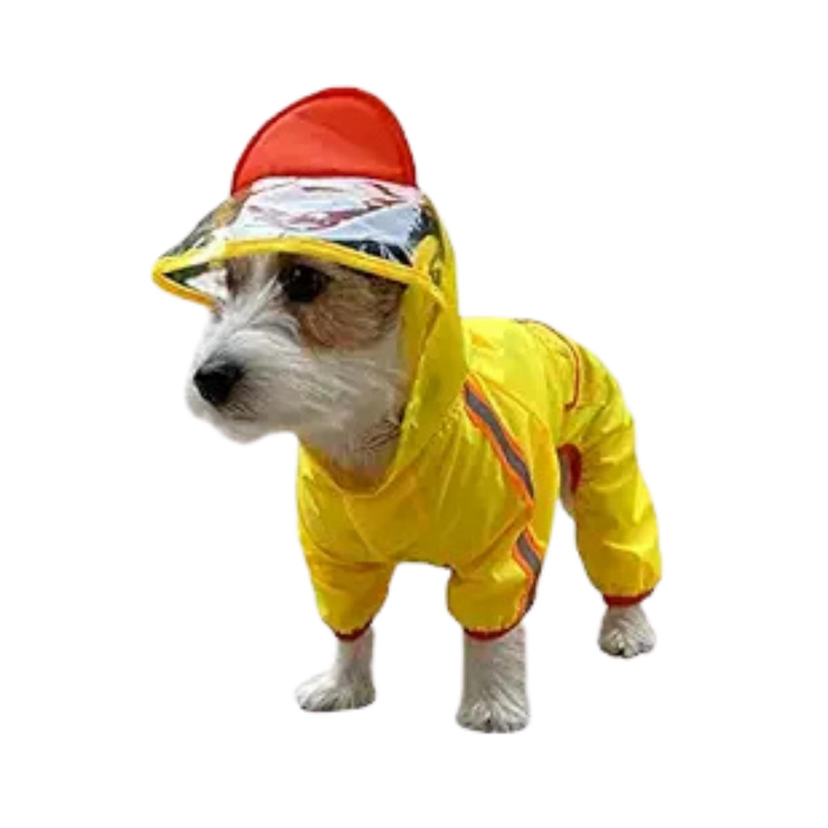 FOFOS PET RAINCOAT -DUCK (M) - Animeal