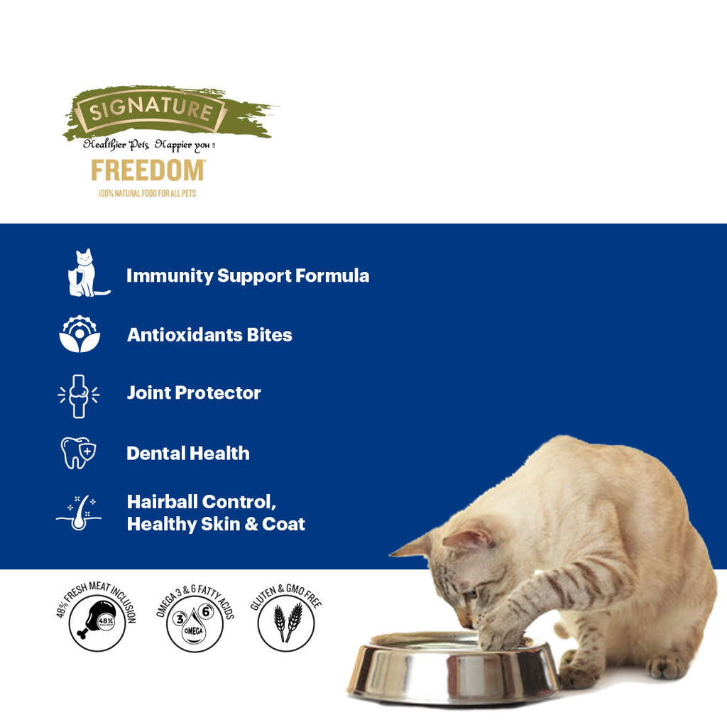 FREEDOM CAT KITTEN DRY FOOD - Animeal