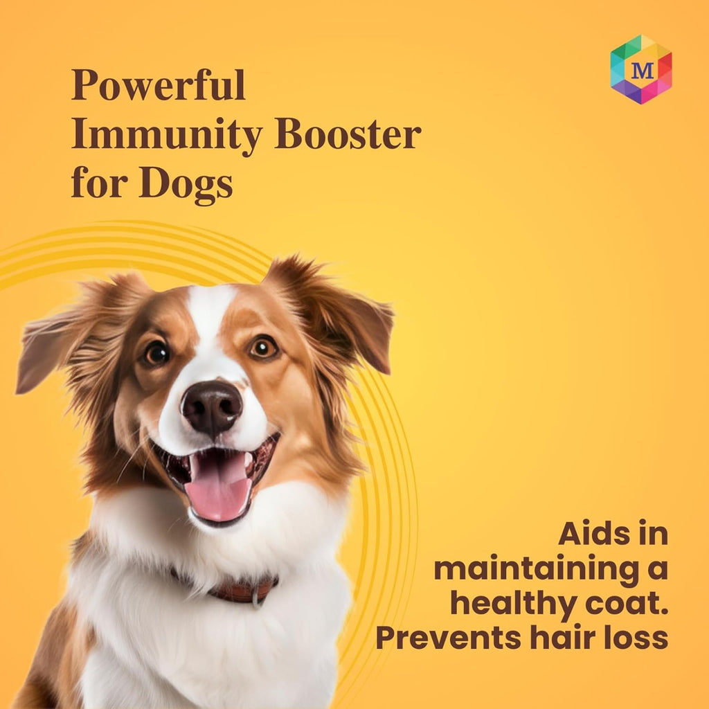 Goat Milk + Multivitamin + Colostrum (Immunity Booster) for Dogs | Pack of 15 Sachets - Animeal