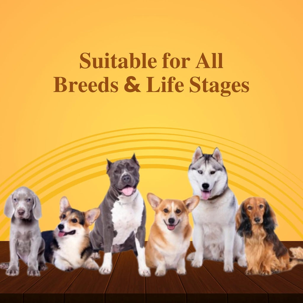 Goat Milk + Multivitamin + Colostrum (Immunity Booster) for Dogs | Pack of 15 Sachets - Animeal
