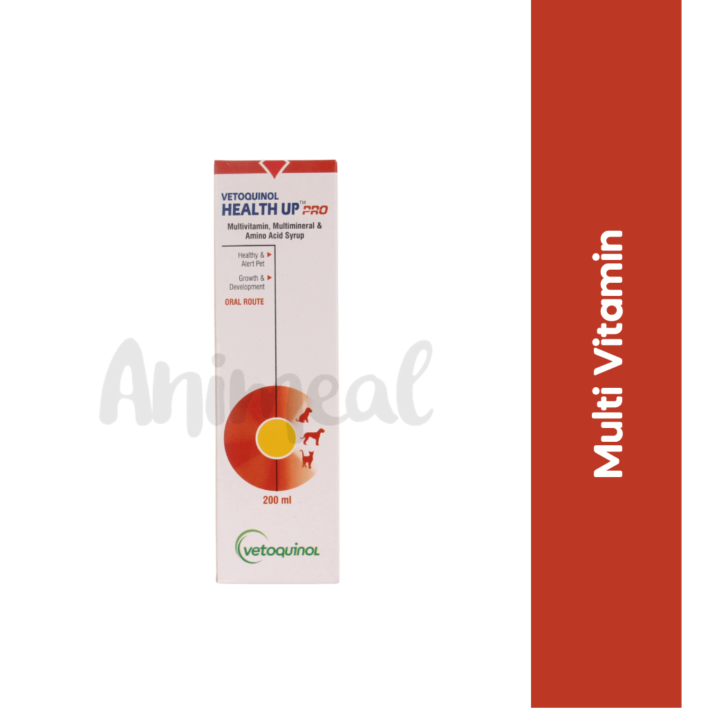 HEALTH UP SYRUP - Animeal