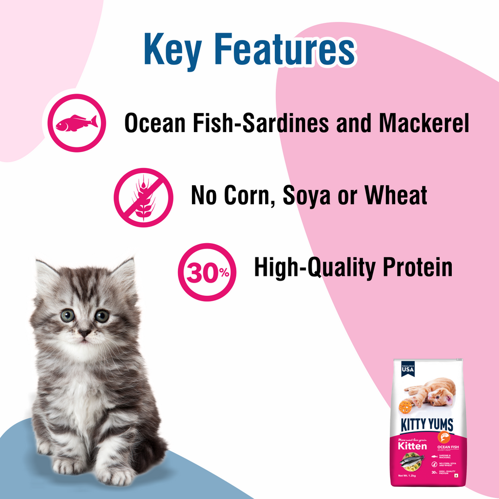 KITTY YUMS KITTEN DRY FOOD