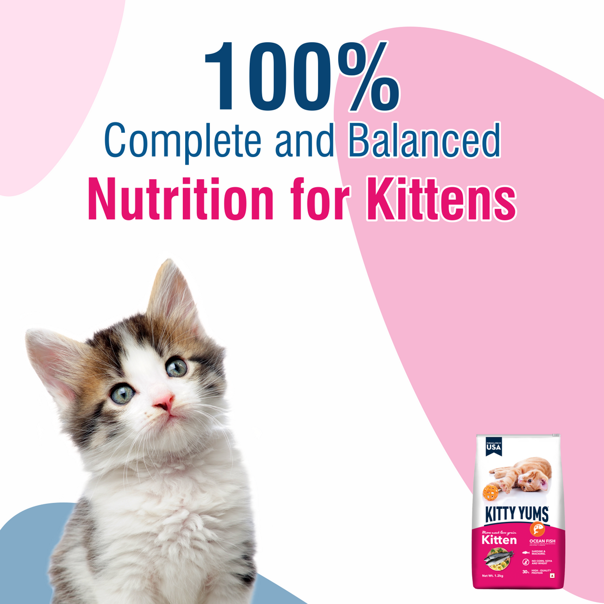 KITTY YUMS KITTEN DRY FOOD