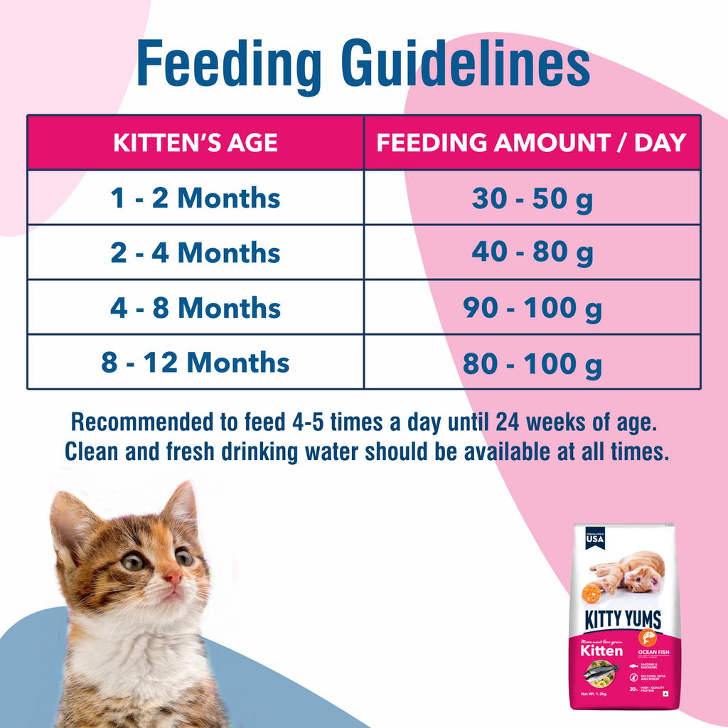 KITTY YUMS KITTEN DRY FOOD