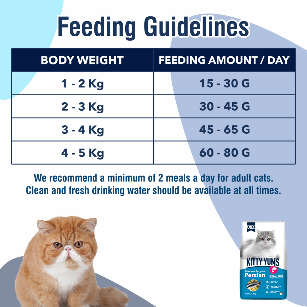 Kitty Yums Persian Dry Food [3 KG] - Animeal