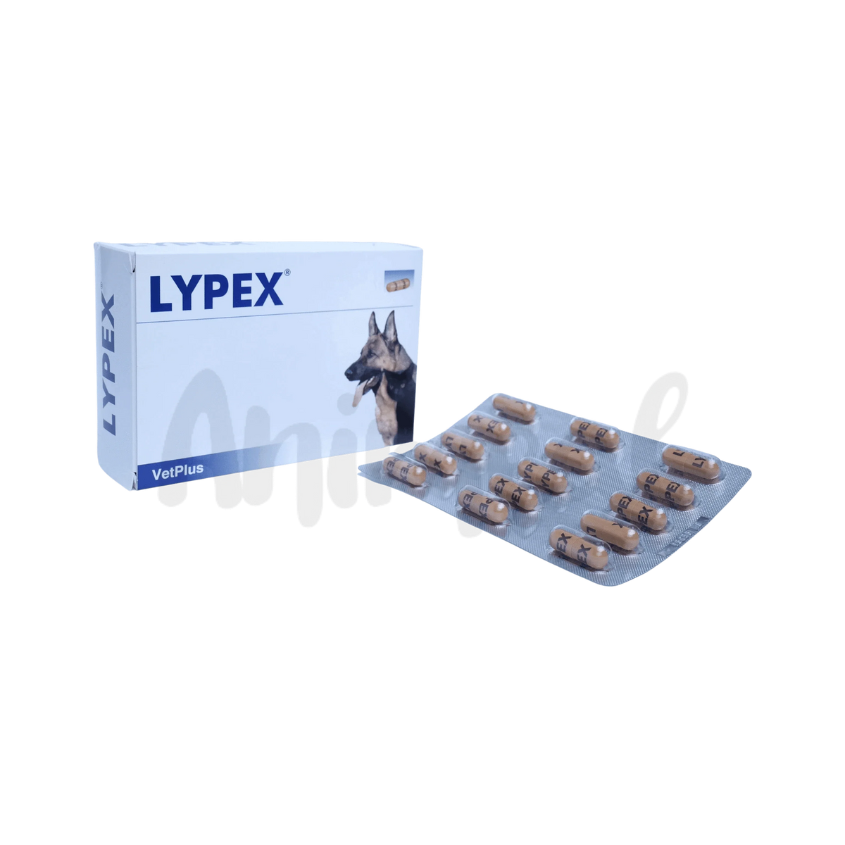 LYPEX CAPSULE