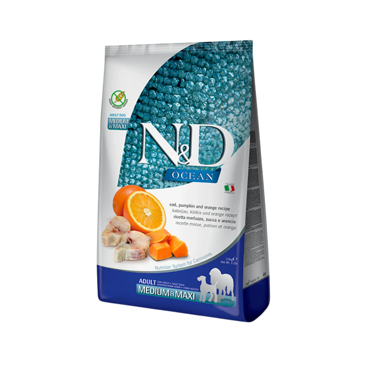 N&D OC COD ADU MAXI GF DRY FOOD [12 KG] - Animeal