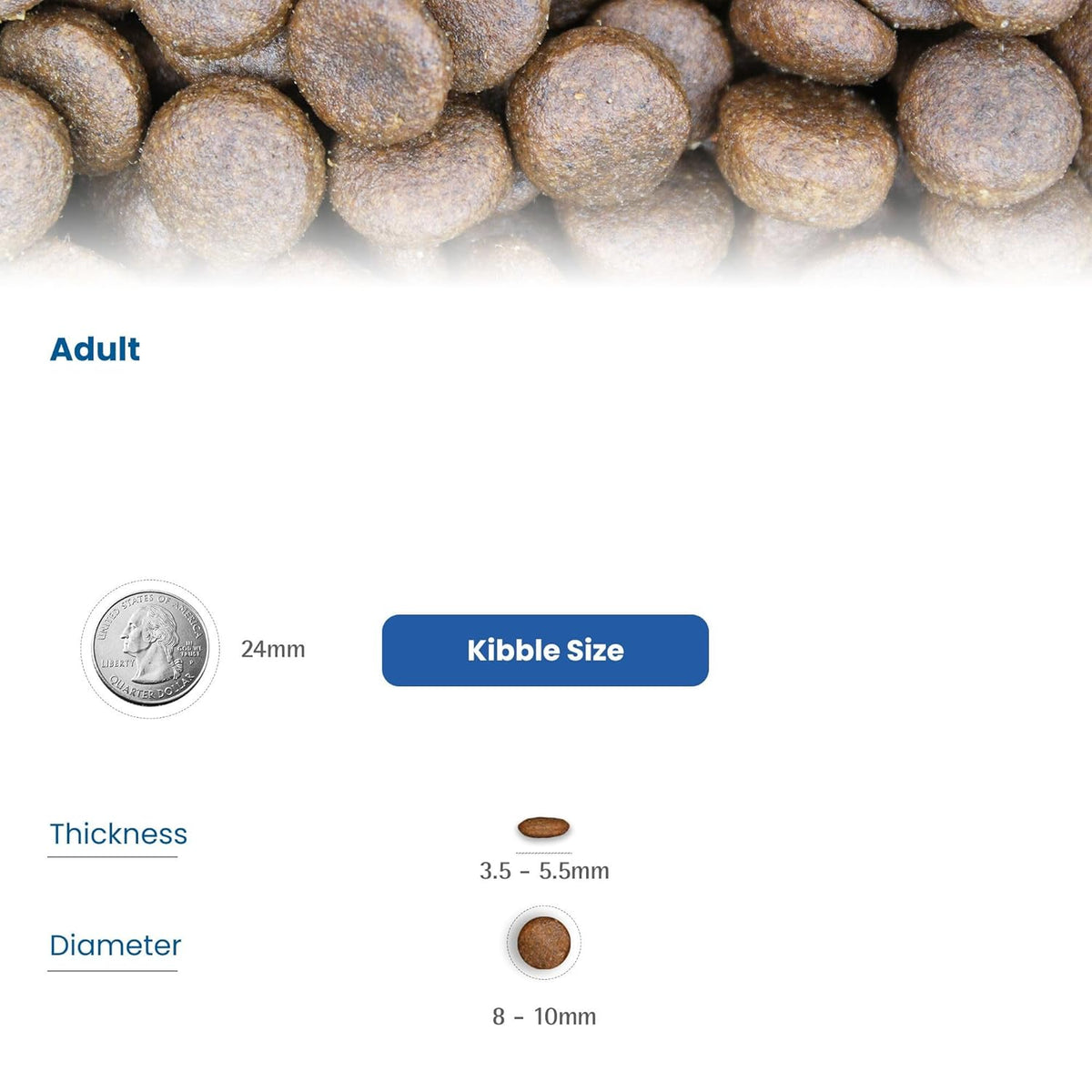 N&D OC COD ADU MAXI GF DRY FOOD [12 KG] - Animeal