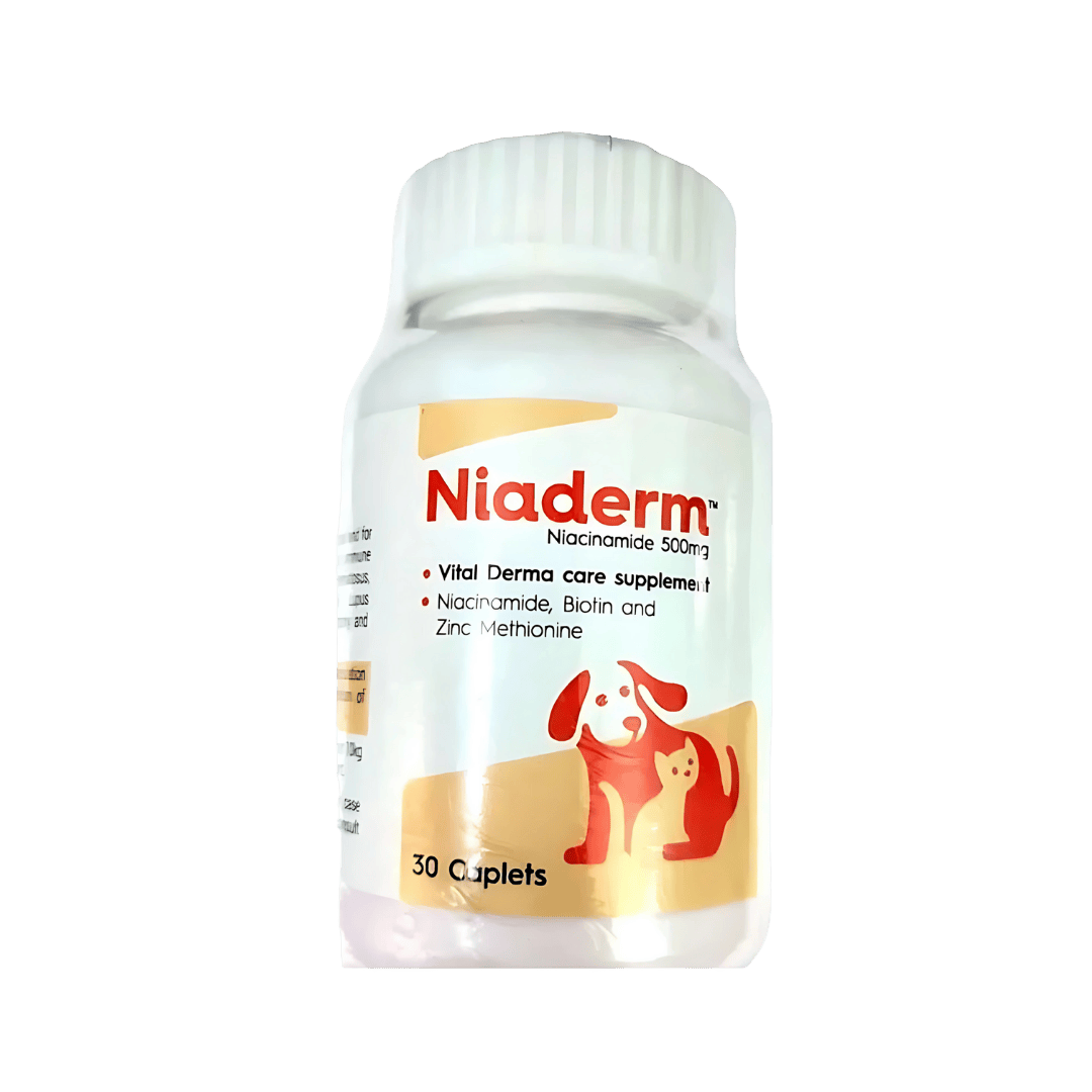 NIADERM 500MG TABLET - Animeal