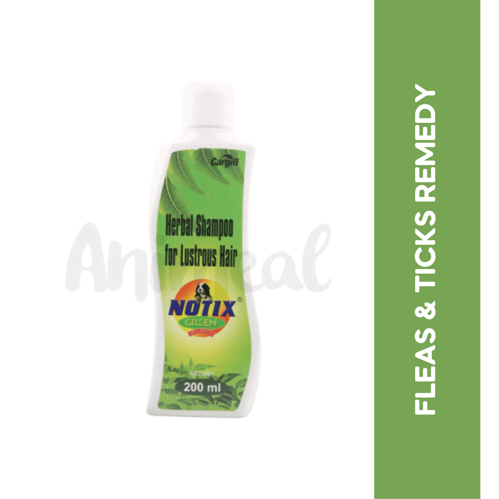 NOTIX GREEN SHAMPOO - Animeal