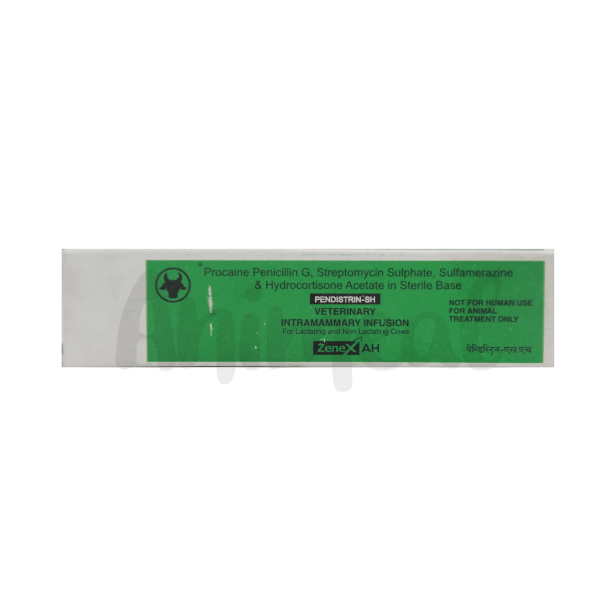 PENDISTRIN-SH OINT - Animeal