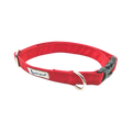 PG DOG COLLAR BRUCE M - Animeal