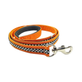 PG DOG LEASH IGNITE (L) - Animeal