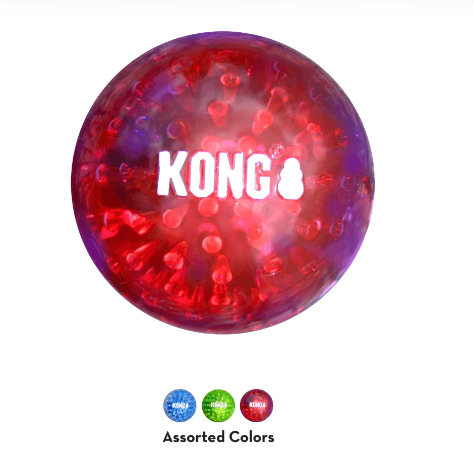 PG KONG SQUEEZZ GEODZ TOY (L) - Animeal