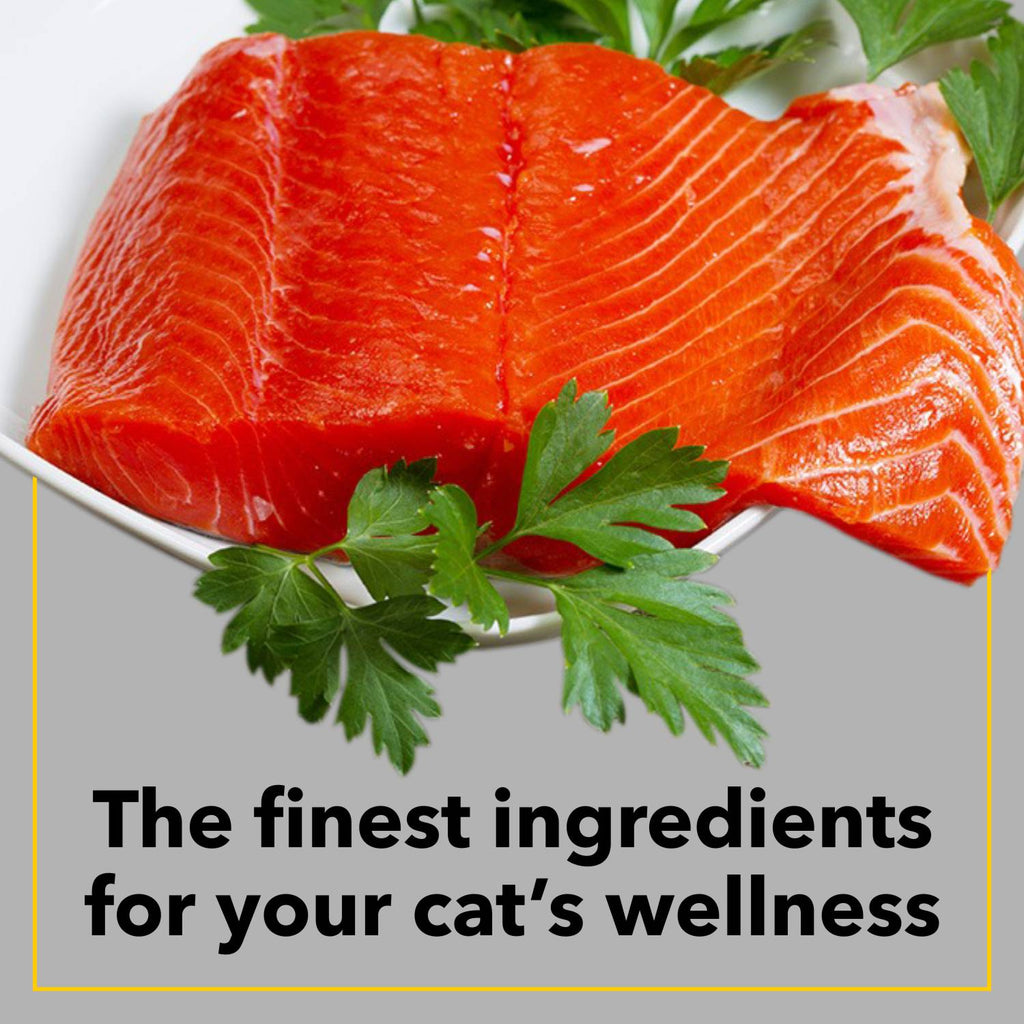 PUREPET SEAFOOD CAT DRY FOOD (L) - Animeal
