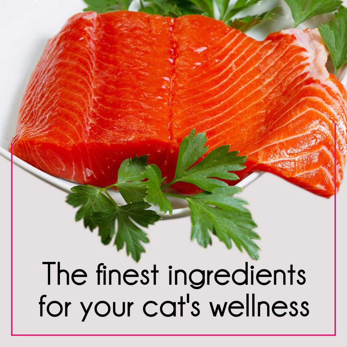 PUREPET TUNA & SALMON CAT DRY FOOD (L)