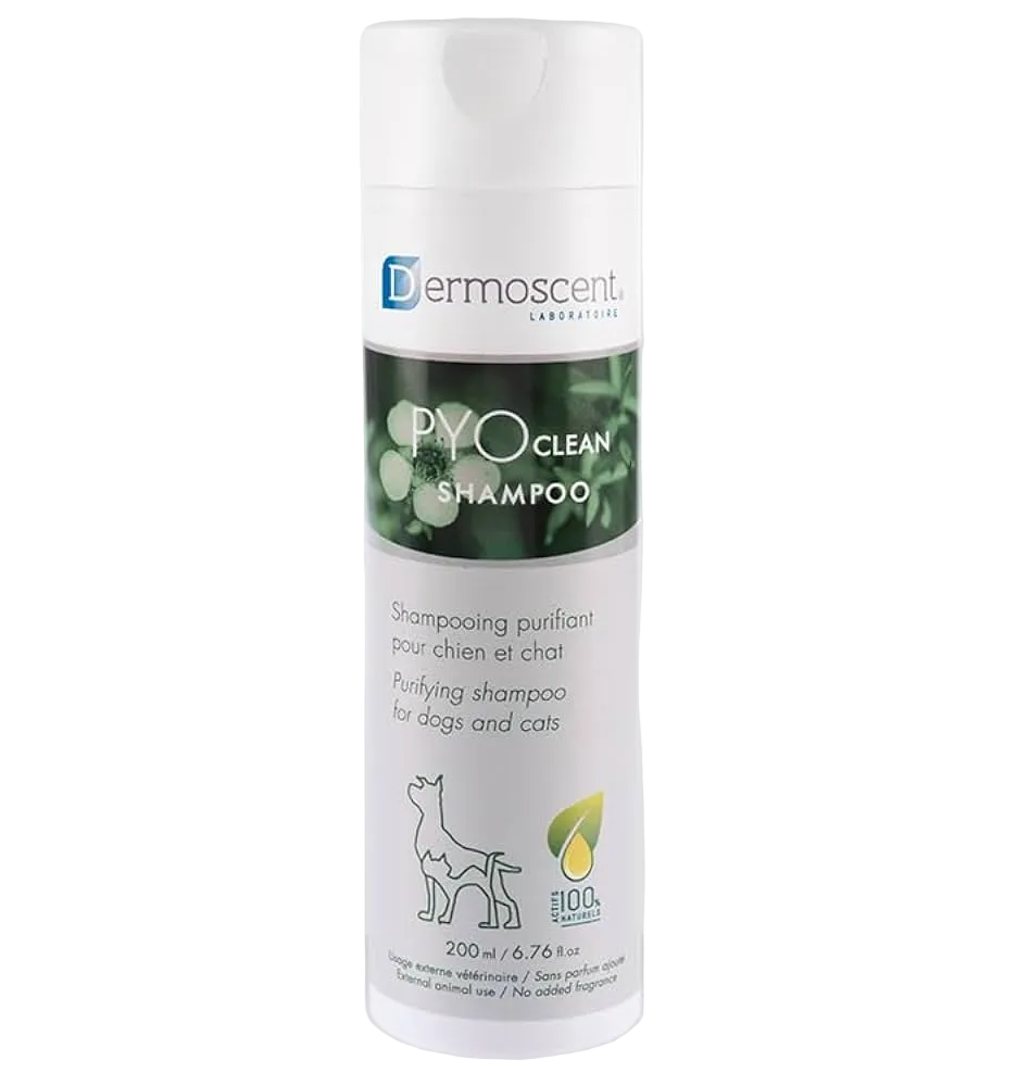 PYO Clean Shampoo - Animeal