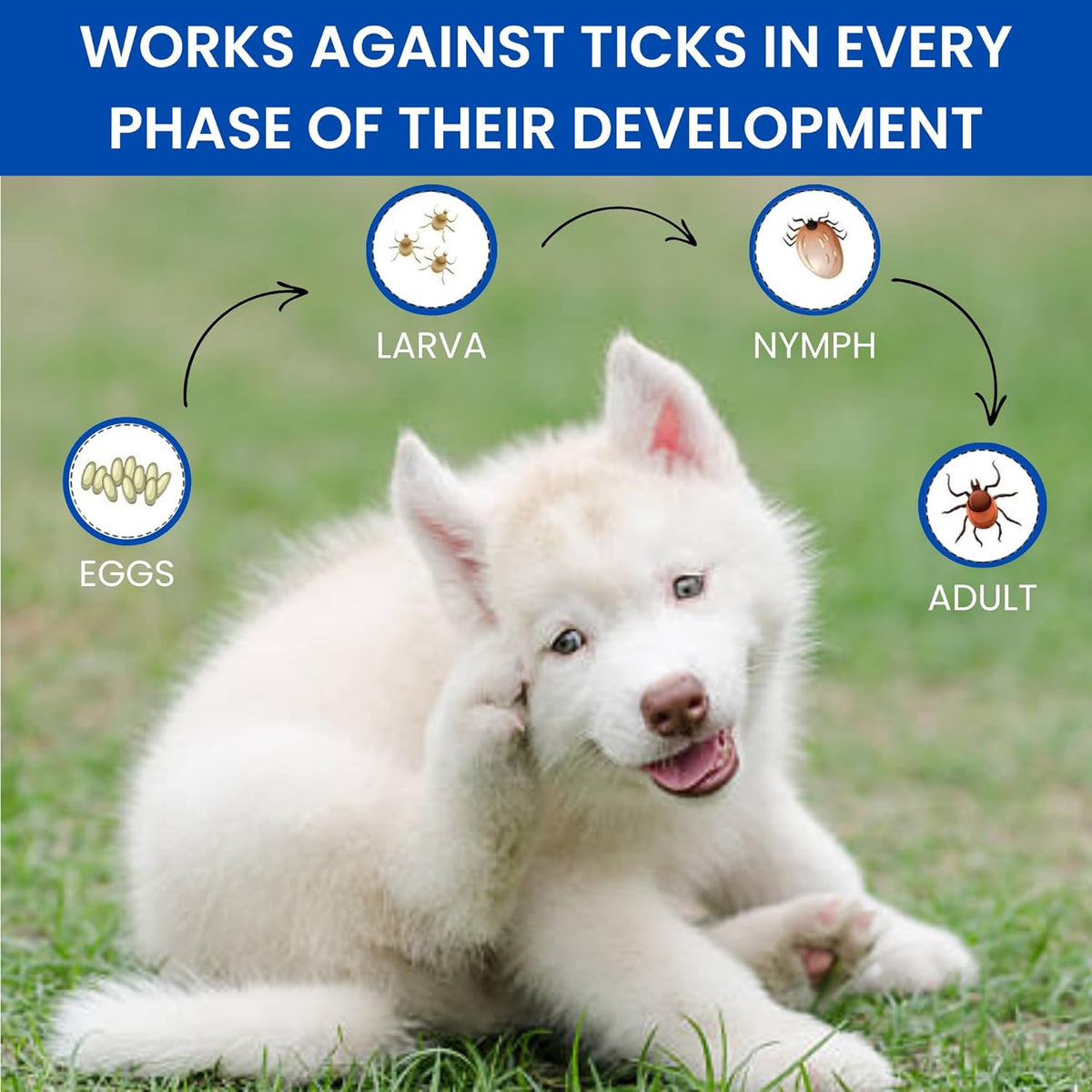 Parashield Fleas & Ticks Spray for Dogs and Cats - 250 ML - Animeal