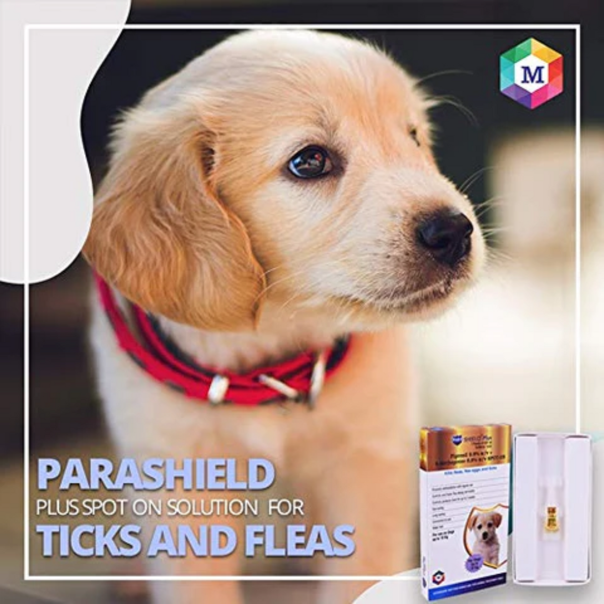 Parashield Plus Spot On Solution For Ticks And Fleas - Dog (Up To 10 Kg) - Animeal