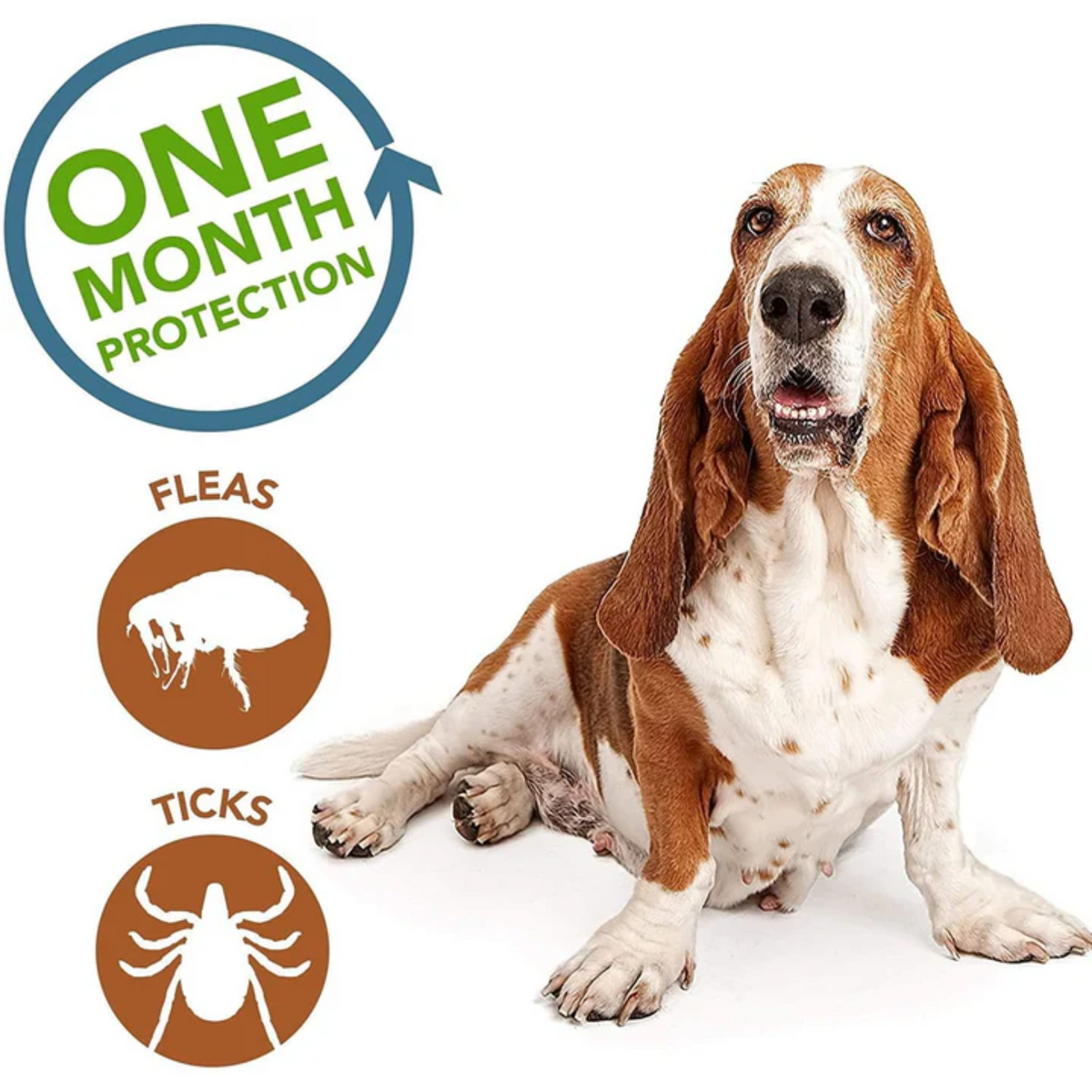 Parashield Plus Spot On Solution for Dog Over (10 kg up to 20 kg) - Animeal