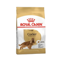 ROYAL CANIN COCKER ADULT DRY FOOD [3 KG] - Animeal