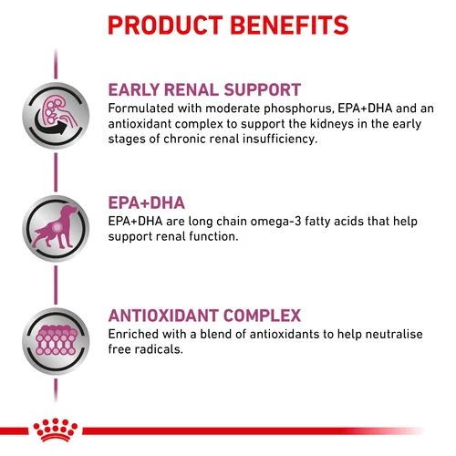 ROYAL CANIN EARLY RENAL DOG DRY FOOD 2KG - Animeal