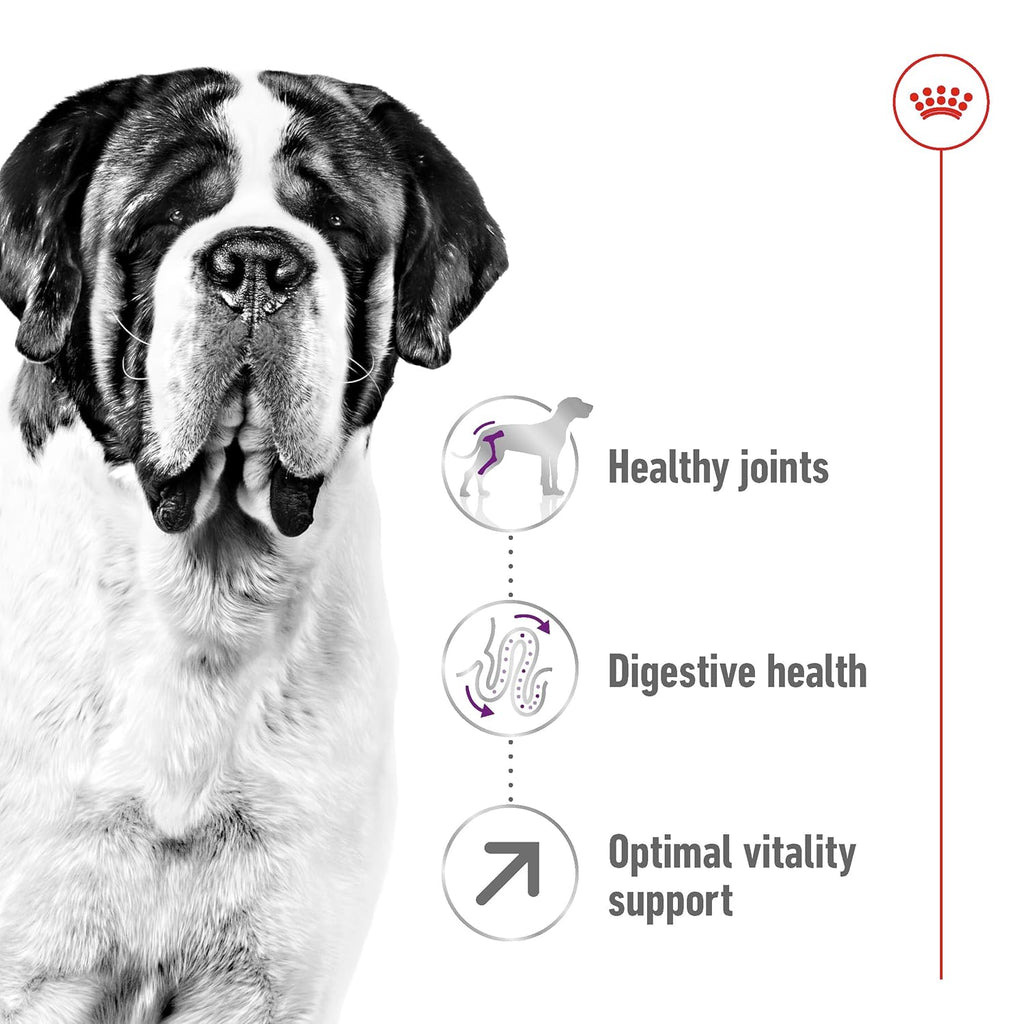 ROYAL CANIN GIANT ADULT DRY FOOD [15 KG] - Animeal