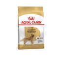 ROYAL CANIN GOLDEN RET ADULT DRY FOOD [12 KG] - Animeal