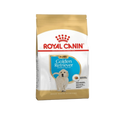 ROYAL CANIN GOLDEN RET PUPPY DRY FOOD [12 KG] - Animeal