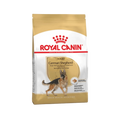 ROYAL CANIN GSD ADULT DRY FOOD [3 KG] - Animeal