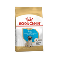 ROYAL CANIN PUG PUPPY DRY FOOD [1.5 KG] - Animeal