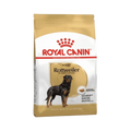 ROYAL CANIN ROTTWEILER ADULT DRY FOOD [3 KG] - Animeal