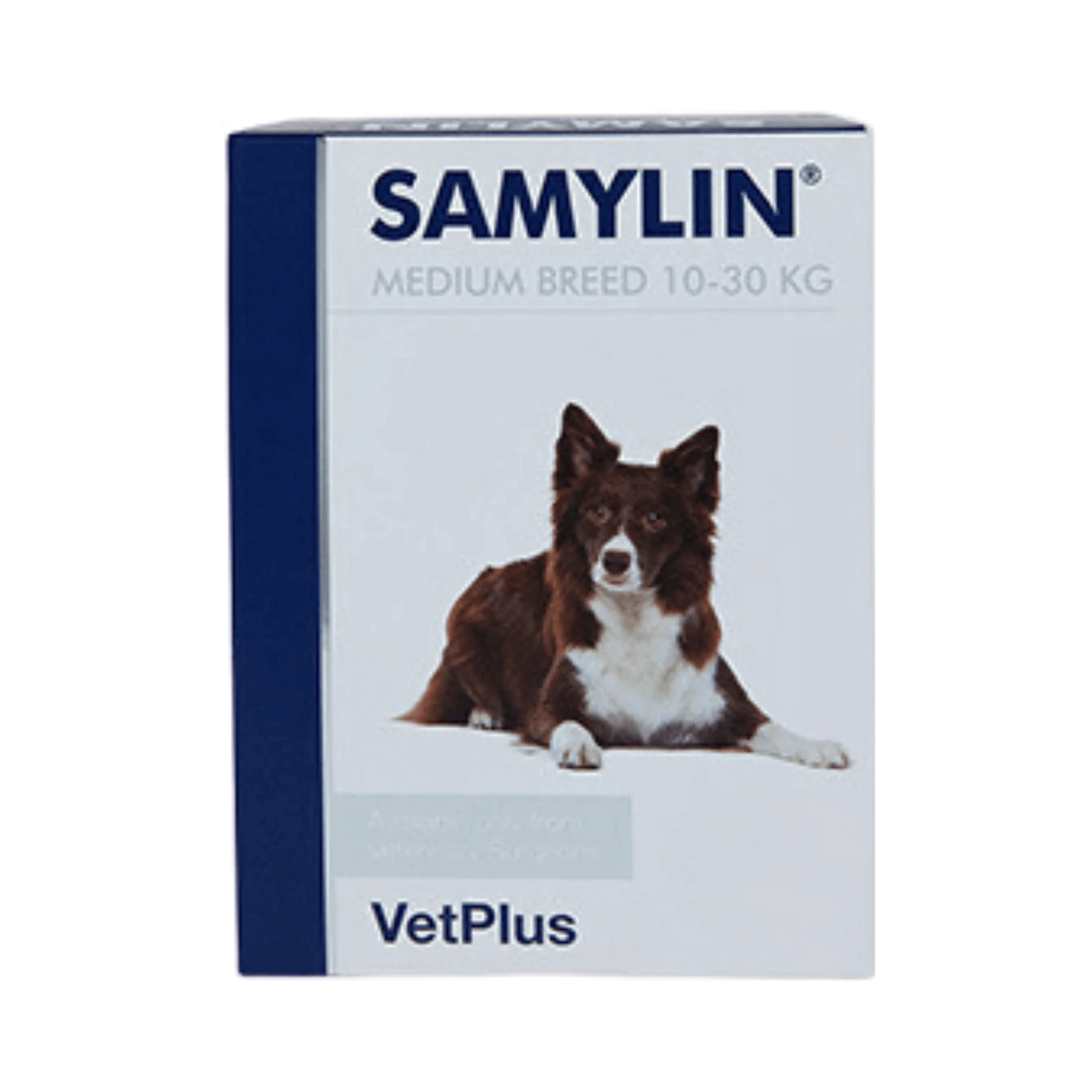 SAMYLIN MEDIUM BREED SACHETS - Animeal