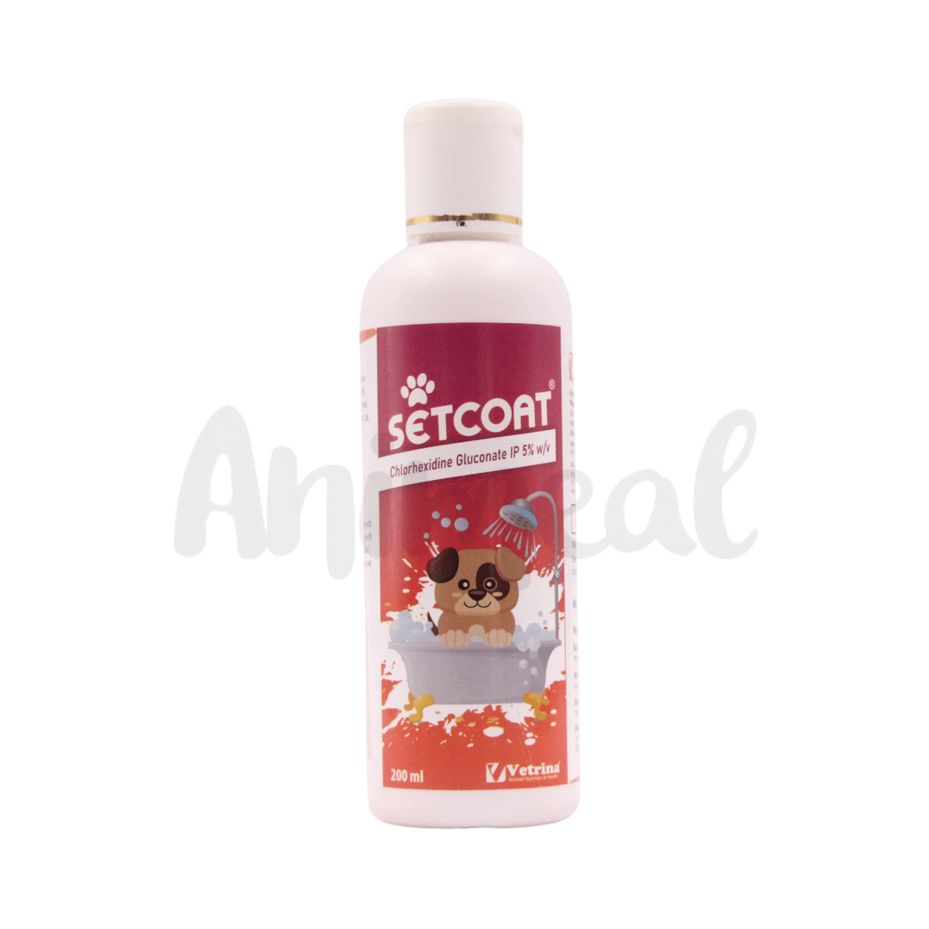SETCOAT CHG 5% SHAMPOO - Animeal