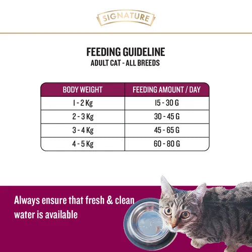 SIGNATURE CAT ADULT DRY FOOD [20 KG]