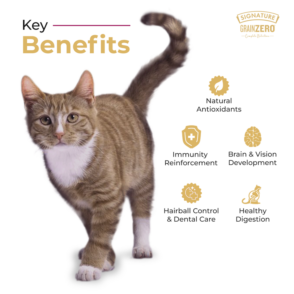 SIGNATURE GRAIN ZERO CAT ADULT - Animeal