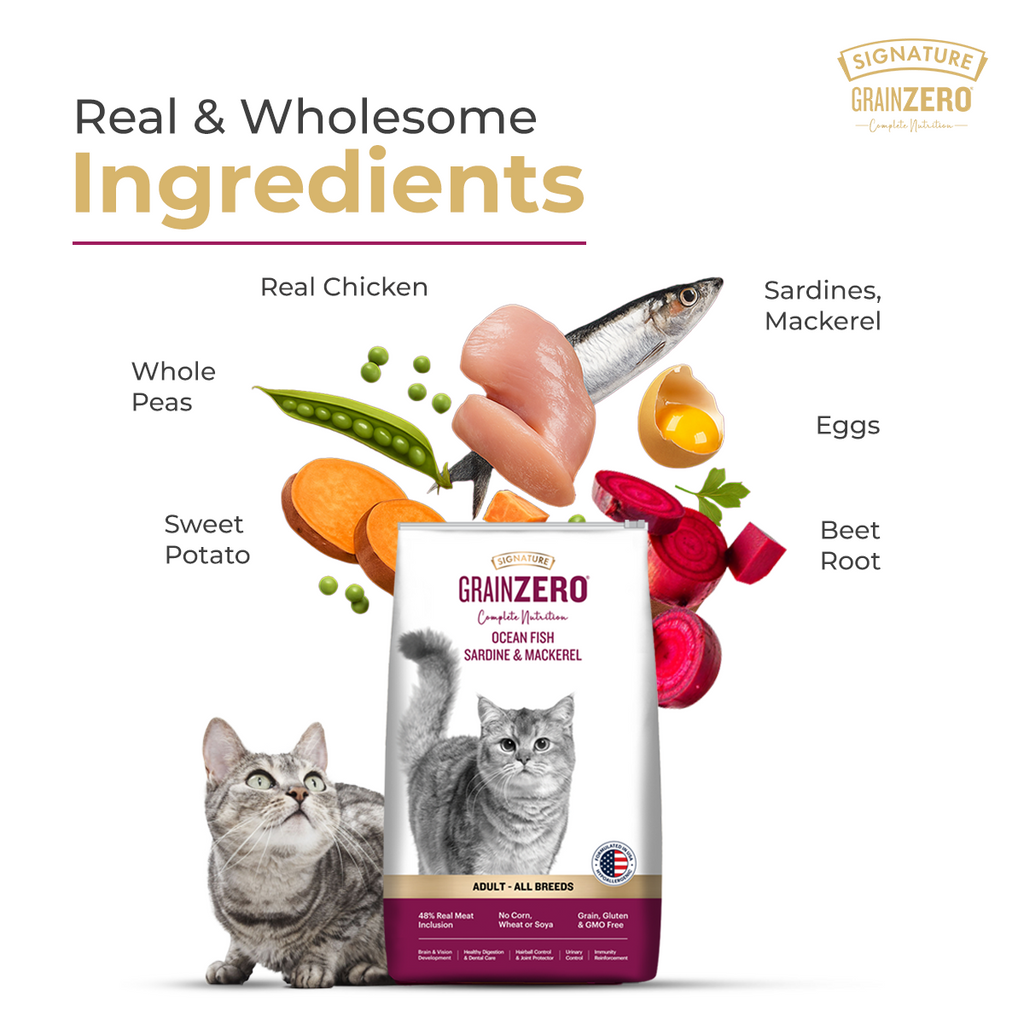 SIGNATURE GRAIN ZERO CAT ADULT - Animeal
