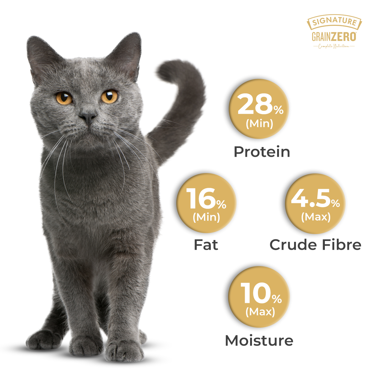 SIGNATURE GRAIN ZERO CAT ADULT - Animeal