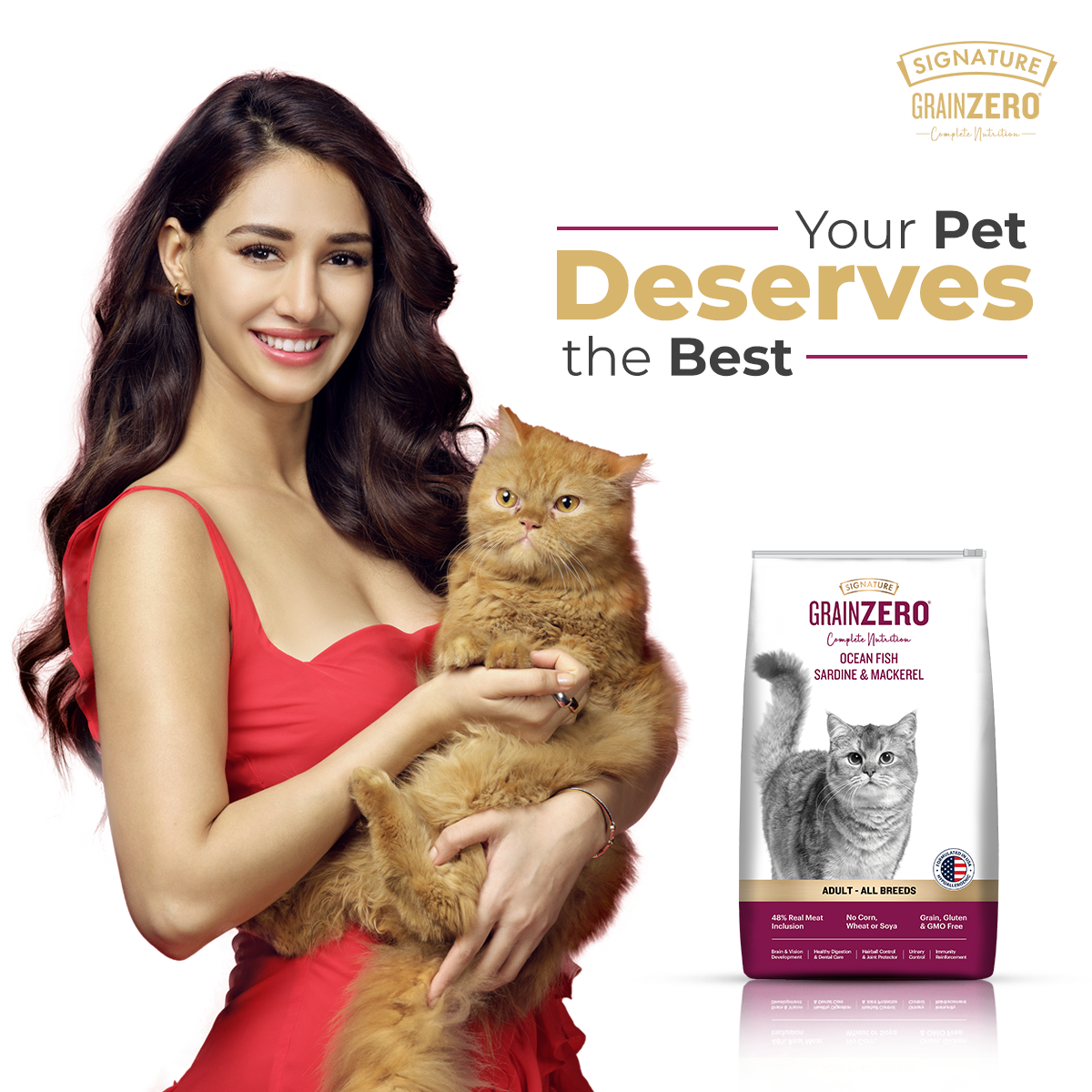 SIGNATURE GRAIN ZERO CAT ADULT - Animeal