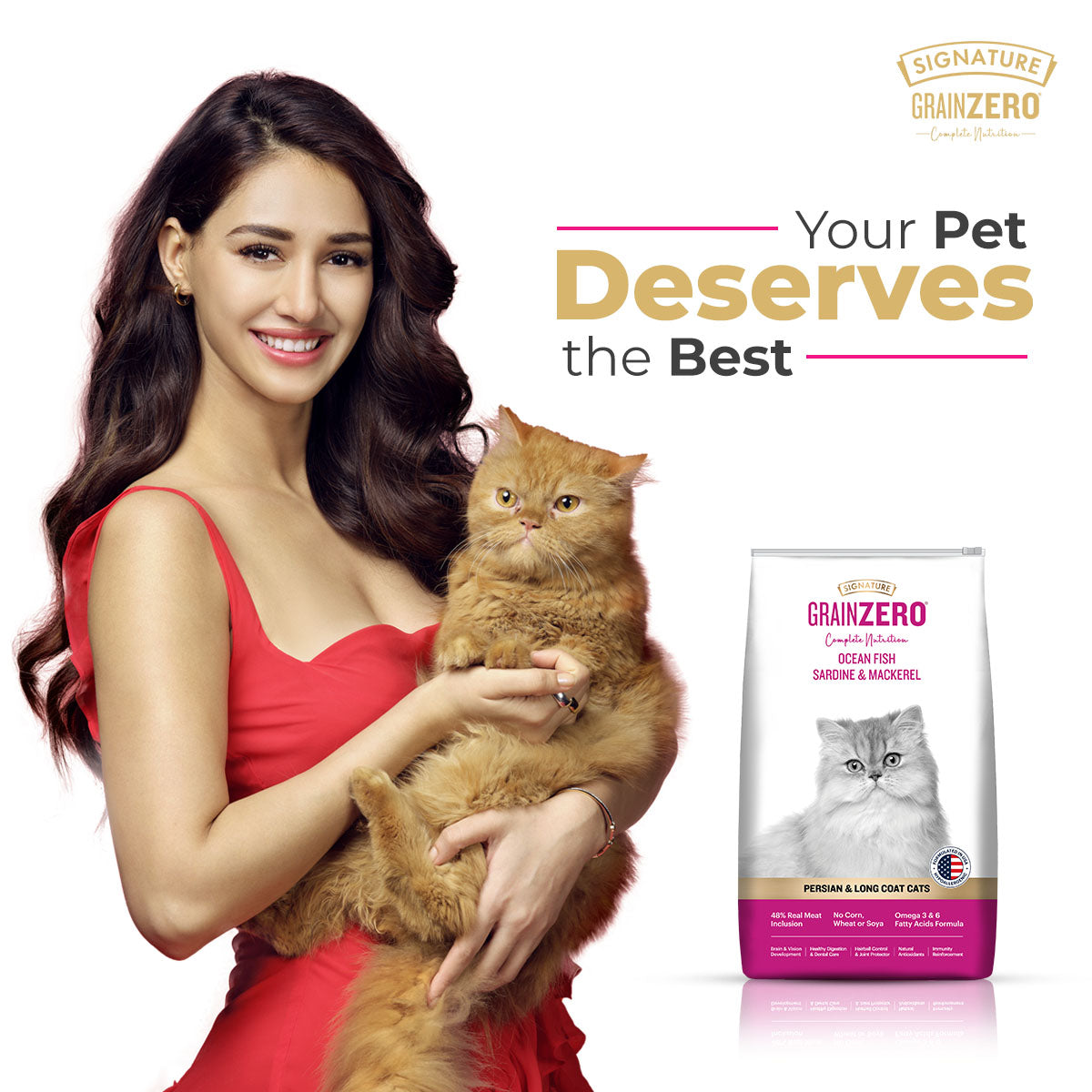 SIGNATURE GRAIN ZERO PERSIAN DRY FOOD (M) - Animeal