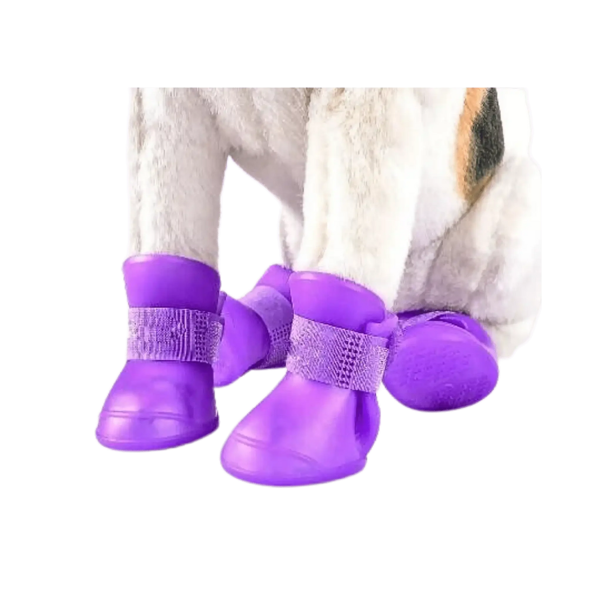 SILICONE SHOES LARGE - Animeal