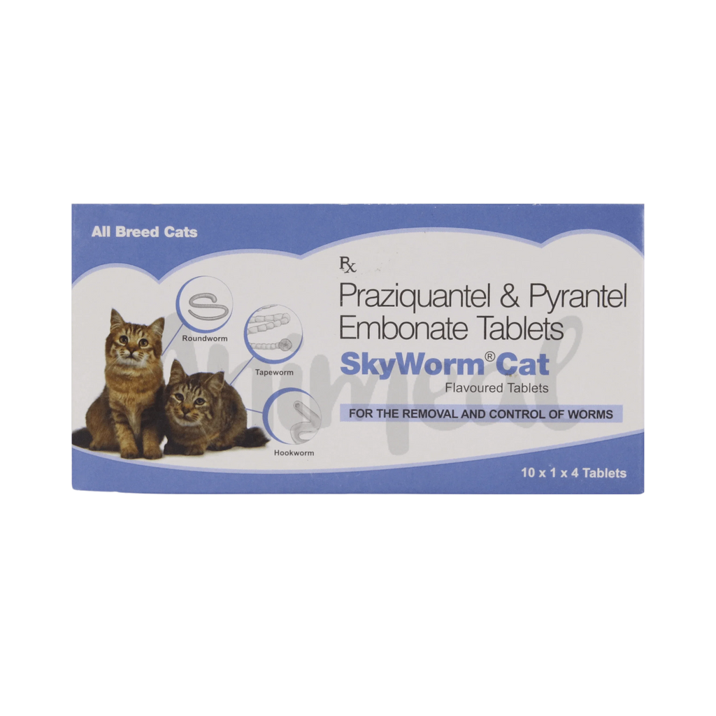 SKYWORM CAT TABLET - Animeal