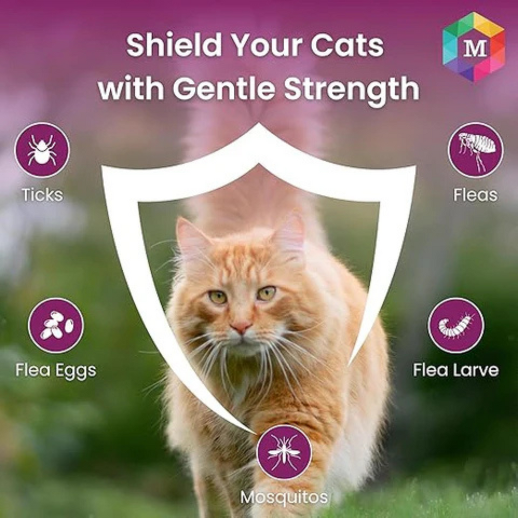 Spot On Treatment for Cats - Animeal
