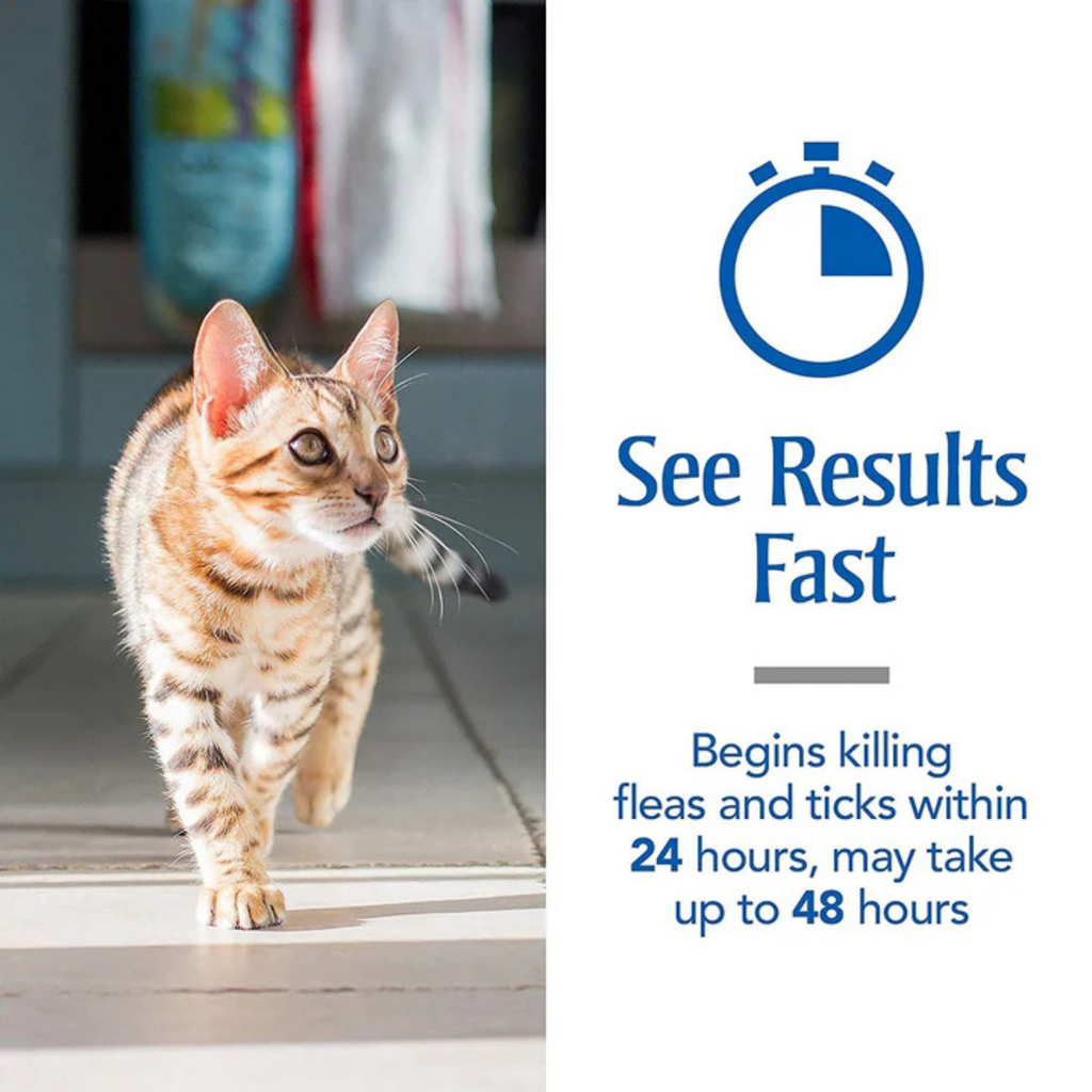 Spot On Treatment for Cats - Animeal