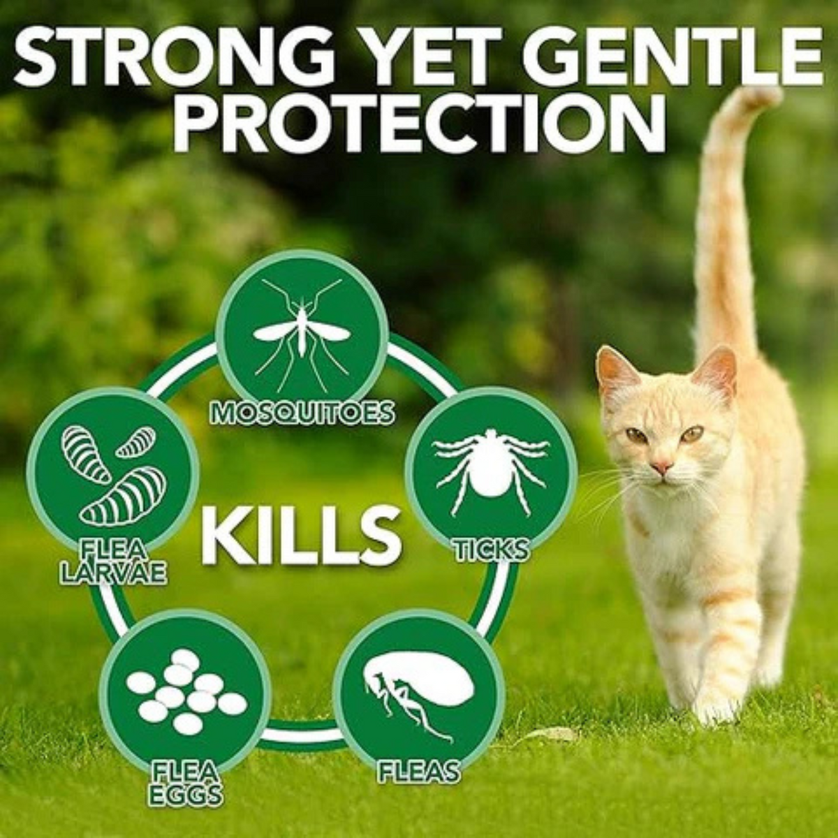 Spot On Treatment for Cats - Animeal