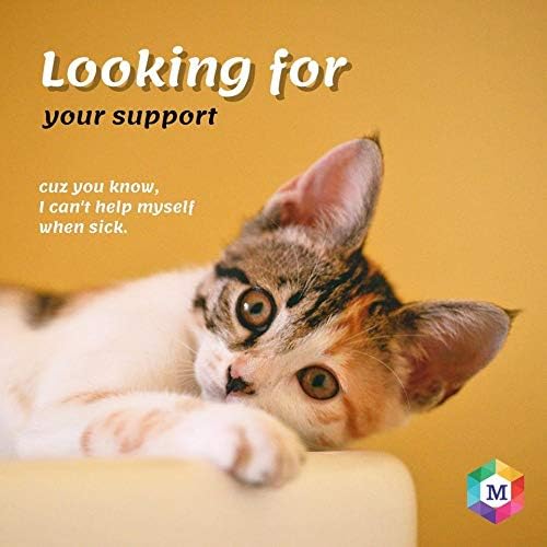 Spot On Treatment for Cats (Pack of 2) - Animeal