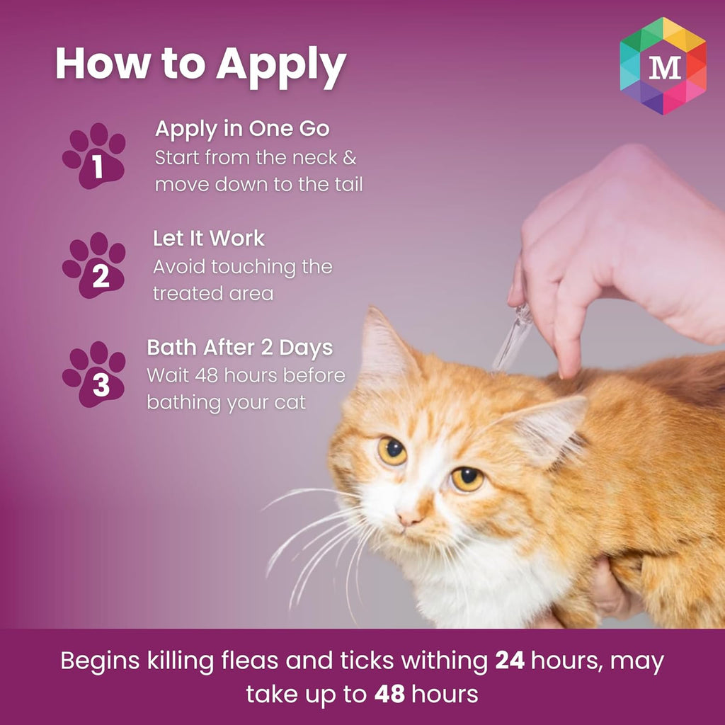 Spot On Treatment for Cats (Pack of 2) - Animeal