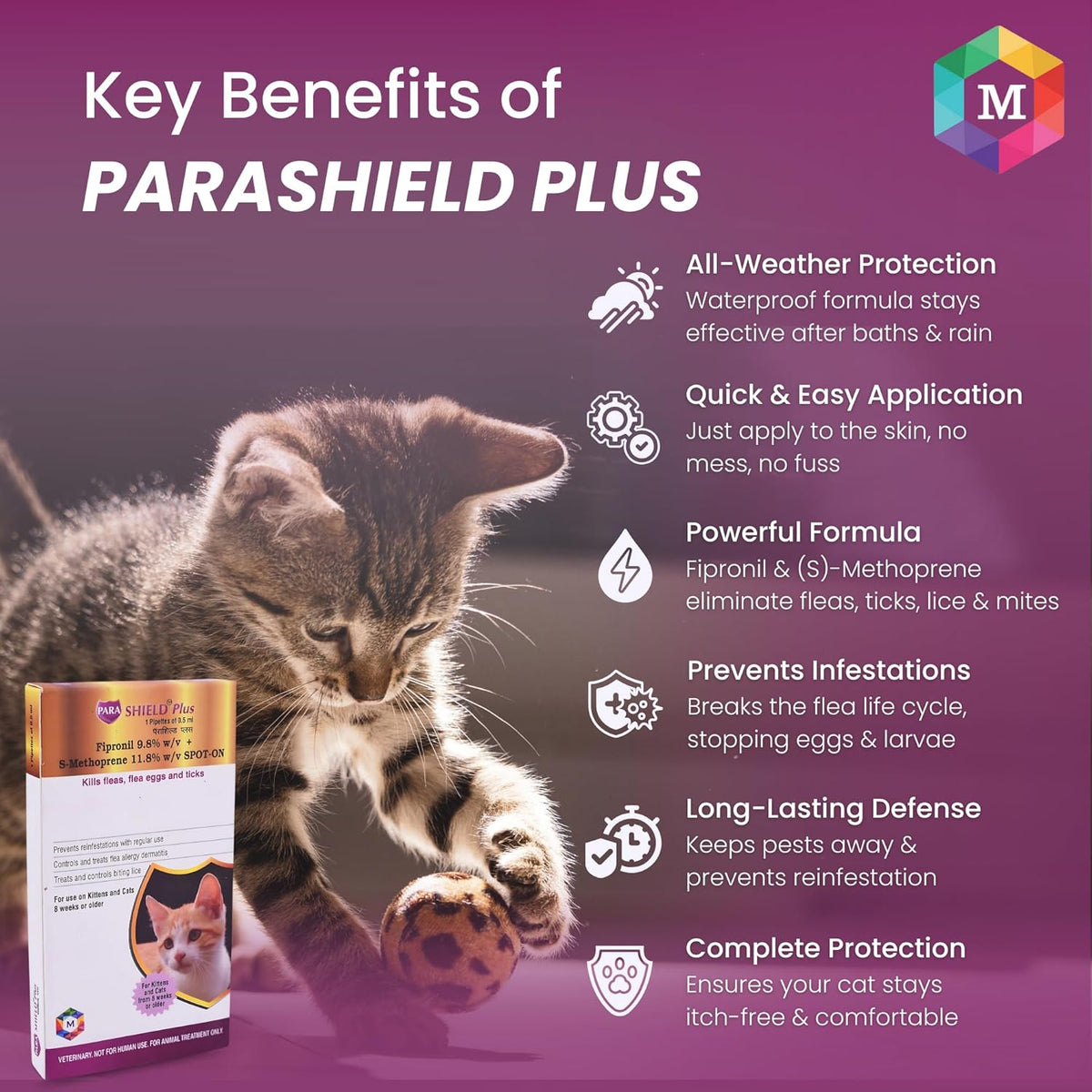 Spot On Treatment for Cats (Pack of 2) - Animeal